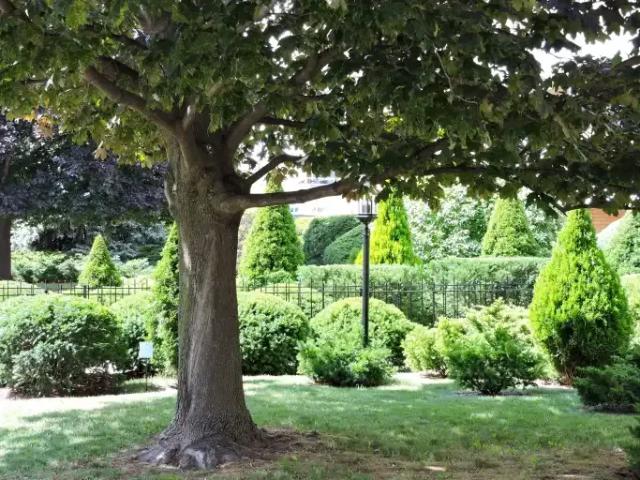 Apartment For Rent Mississauga ON 1445 ELS105234768