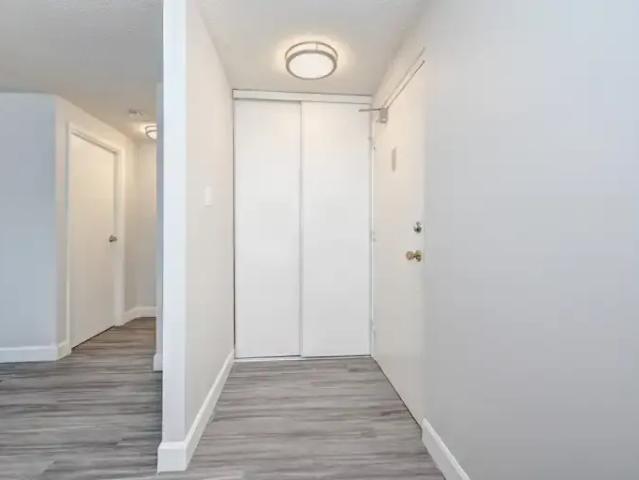 Apartment For Rent New Hamburg ON 1565 ES99823814