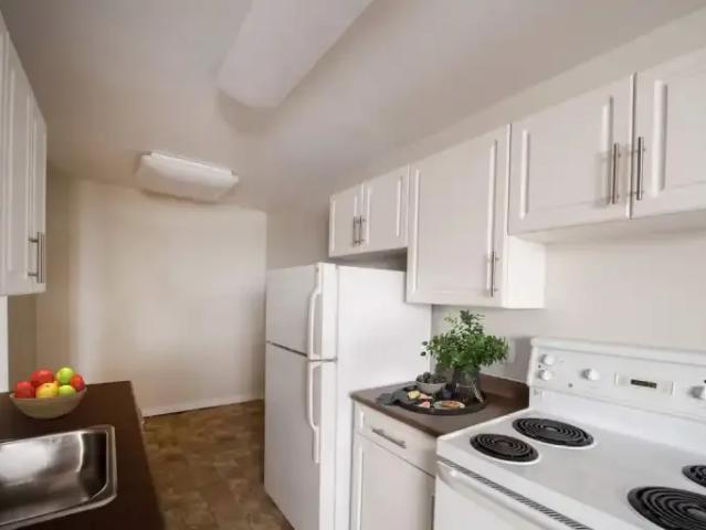 Apartment For Rent Winnipeg MB 1299 ES103739374