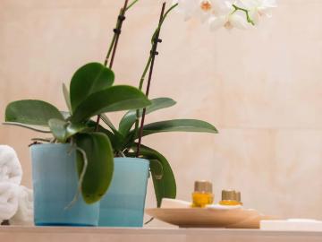 Niddapark, Frankfurt U-Bahn, Rosa-Luxemburg-Straße, Frankfurt, Riedberg, Kalbach, Taunus, Rheinland-Pfalz