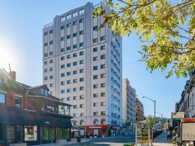 Apartment Hamilton ON 100975307