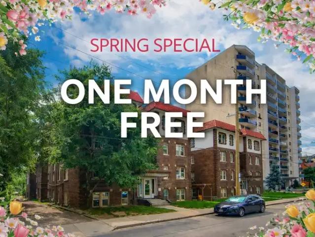 Apartment Hamilton ON 102751857