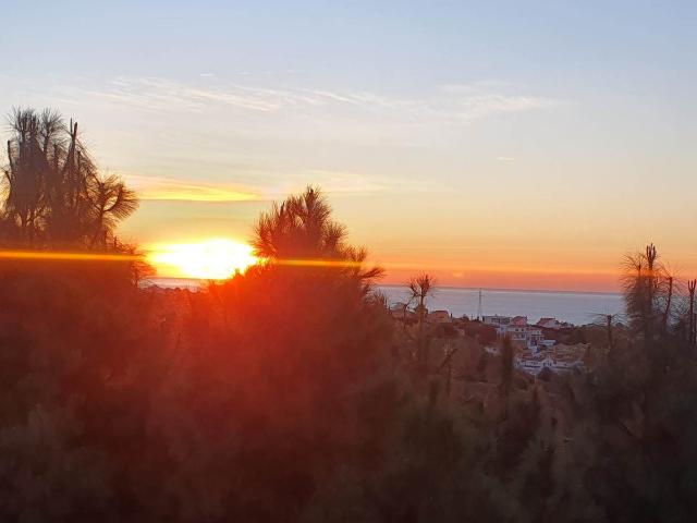 Apartment in Calahonda, Costa del Sol