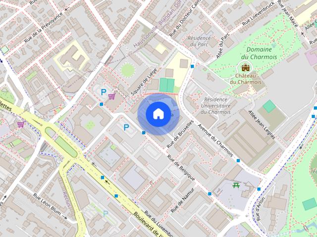 Apartment in Allée de Bruxelles, Vandœuvre lès Nancy for 100 m² with 4 bedrooms