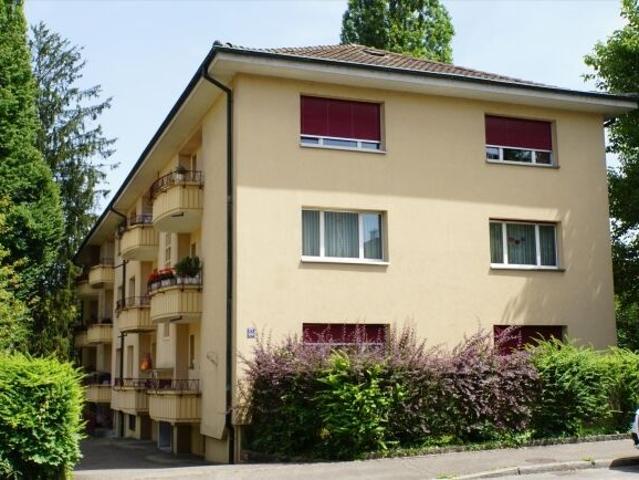 Apartment in beautiful Binningen