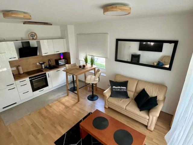 Apartment in Kirschgartenstraße, Heidelberg for 43 m² with 1 bedroom