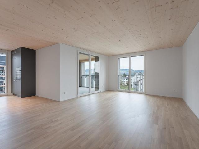 Apartment in idyllic location at Pfannenstiel and Greifensee