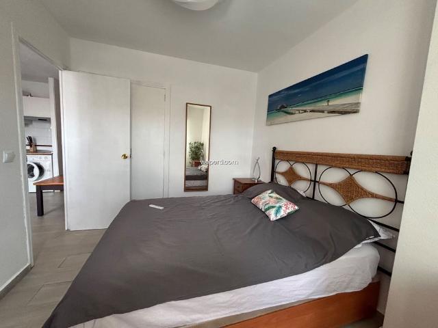 Apartment in Torrevieja, La Mata, for rent