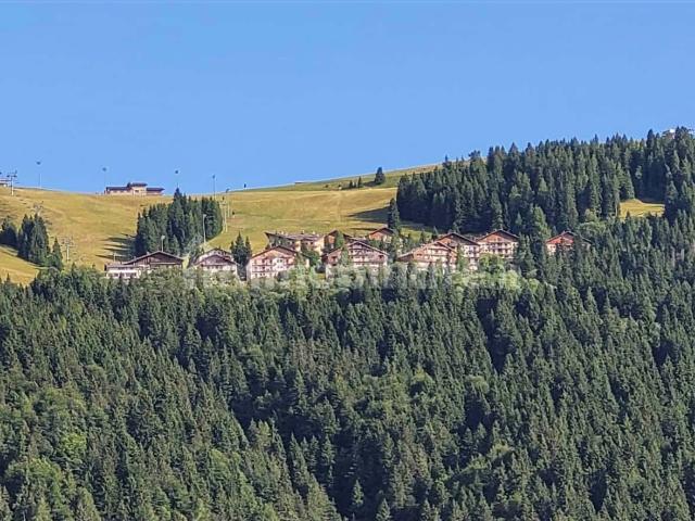 Apartment in Via Pian del Termen, Malga Alta di Sotto for 55 m² with 1 bedroom