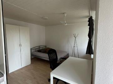 Apartment is looking for a single person