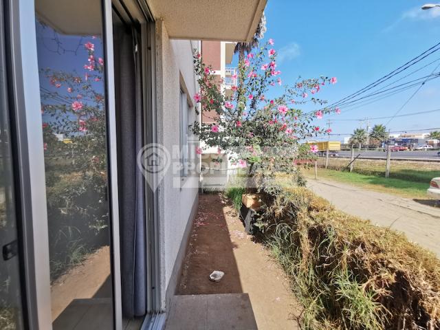 apartment La Serena
