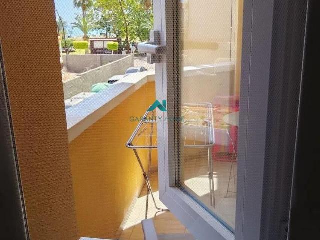 Apartment Moncofar Playa
