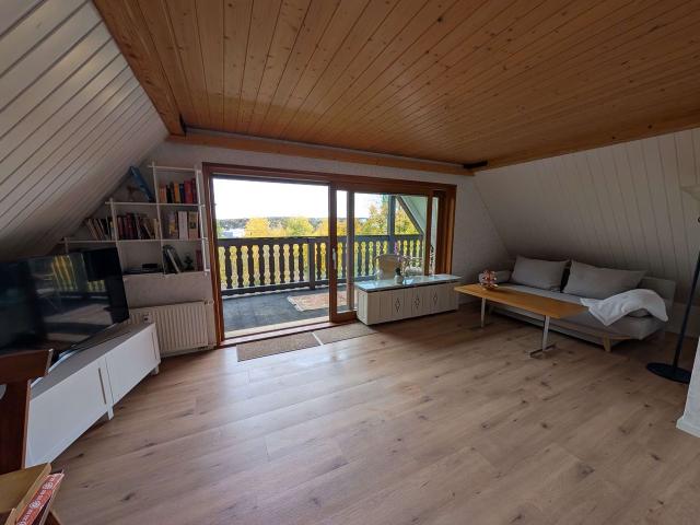 Apartment near the forest in a quiet neighborhood Panoramic windows 5 min to the highway downtown, Chemnitz Amsterdam Apartments for Rent