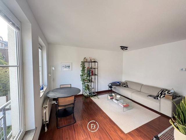 Apartment near Zavel
