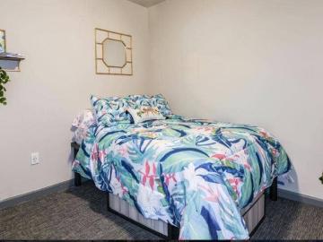 Apartment Rental near USF