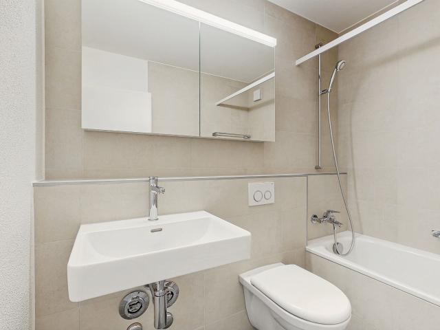 Apartment with 4 rooms for rent in Steinhausen 78 m² | dreamo. Ch