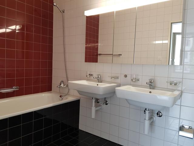 Apartment with 4.5 rooms for rent in Basel 109 m² | dreamo. Ch