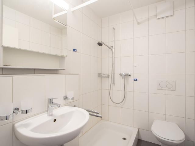 Apartment with 4.5 rooms for rent in Ins 104 m² | dreamo. Ch