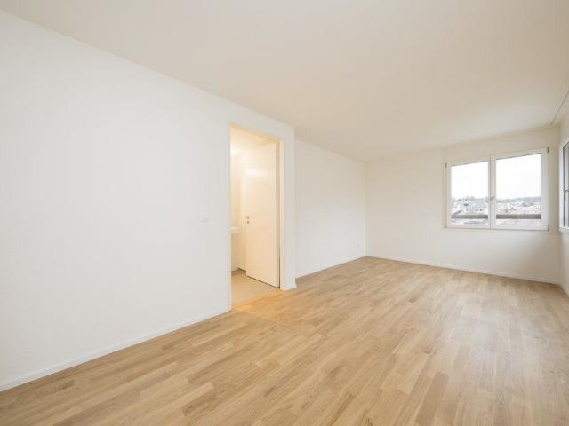 Apartment with 4.5 rooms for rent in Olten 100 m² | dreamo. Ch