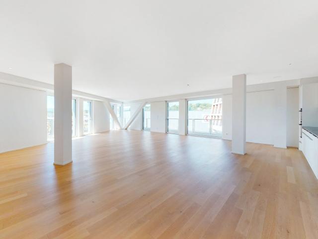 Apartment with 4.5 rooms for rent in Münchenstein 185 m² | dreamo. Ch