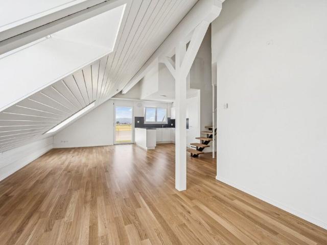 Apartment with 4.5 rooms for rent in Niederbuchsiten 132 m² | dreamo. Ch