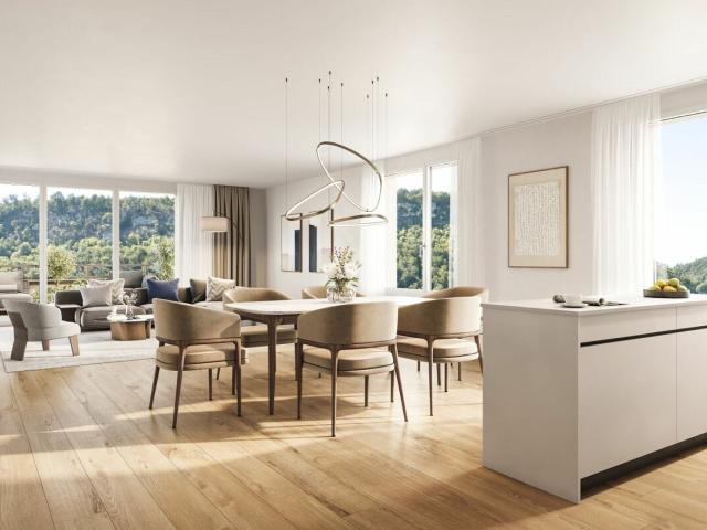 Apartment with 4.5 rooms on sale in Duggingen 117 m² | dreamo. Ch