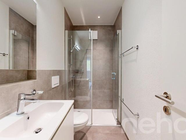 Apartment with 4.5 rooms on sale in Liestal 129 m² | dreamo. Ch