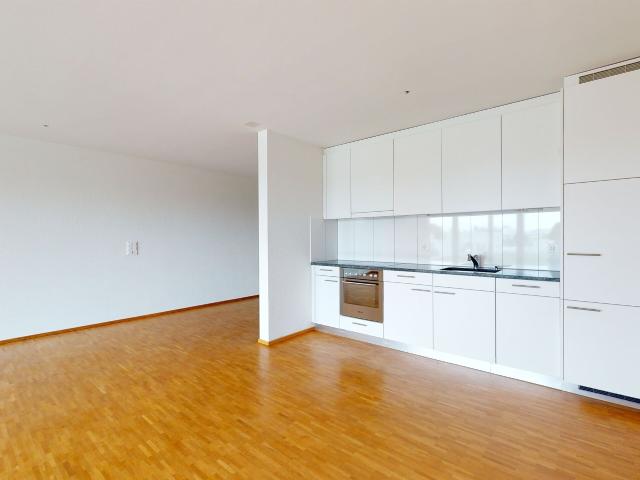 Apartment with 1 room for rent in Oensingen 53 m² | dreamo. Ch
