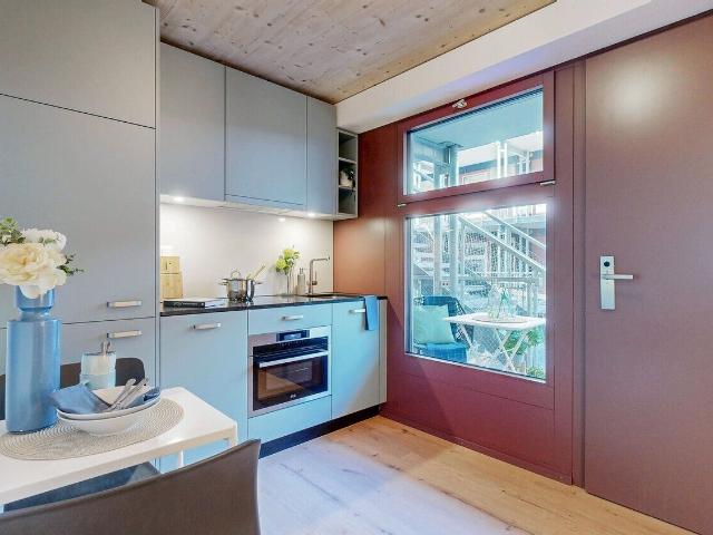 Apartment with 1 room for rent in St. Gallen 27 m² | dreamo. Ch