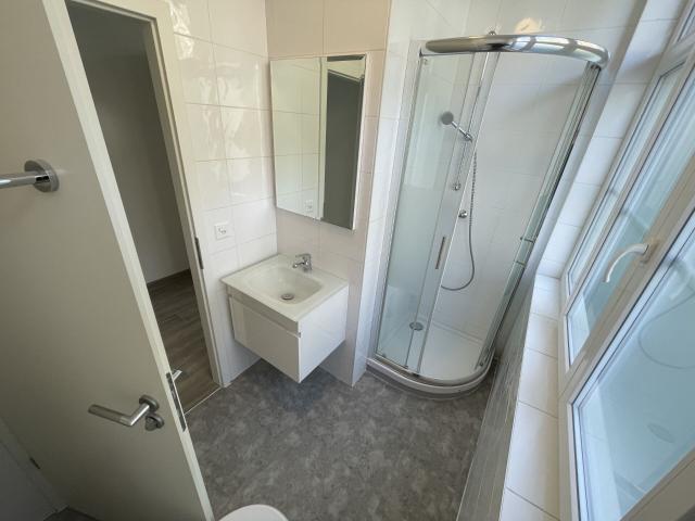 Apartment with 1 room for rent in St Imier 18 m² | dreamo. Ch