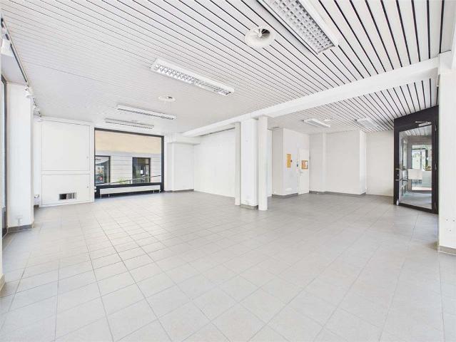 Apartment with 1.5 rooms for rent in Bellinzona 81 m² | dreamo. Ch