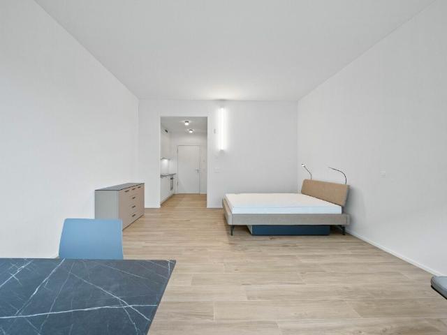 Apartment with 1.5 rooms for rent in Buchs SG 43 m² | dreamo. Ch