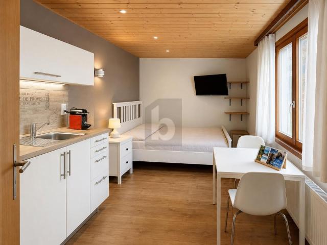 Apartment with 1.5 rooms on sale in Grindelwald 16 m² | dreamo. Ch