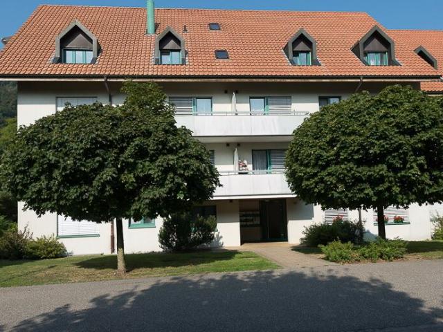Apartment with 2 rooms for rent in Aarburg 51 m² | dreamo. Ch