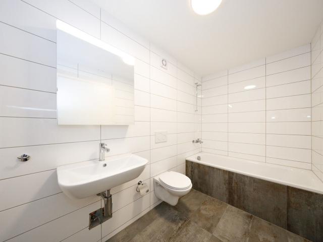 Apartment with 2 rooms for rent in Basel 47 m² | dreamo. Ch