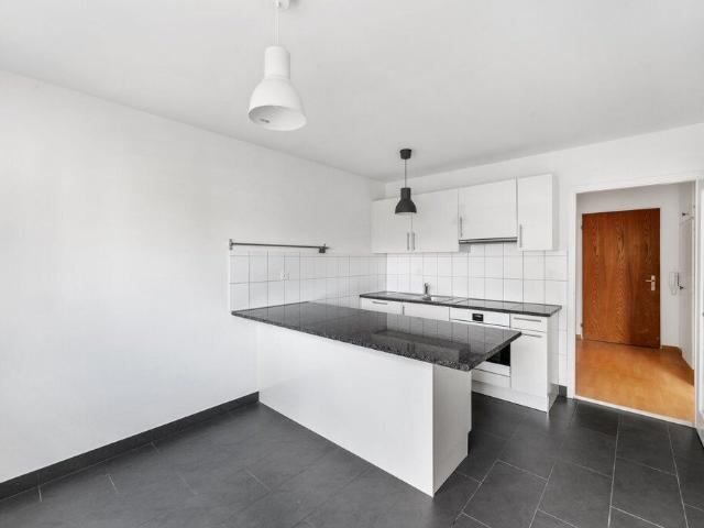 Apartment with 2 rooms for rent in Basel 62 m² | dreamo. Ch