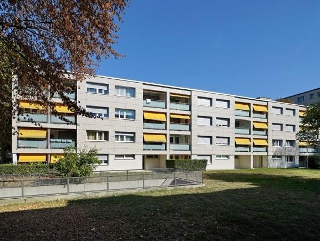 Apartment with 2 rooms for rent in Birsfelden 46 m² | dreamo. Ch