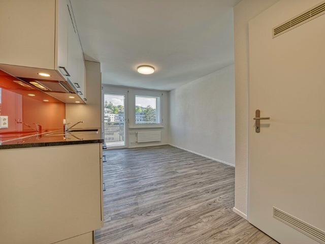 Apartment with 2 rooms for rent in Gossau SG 35 m² | dreamo. Ch