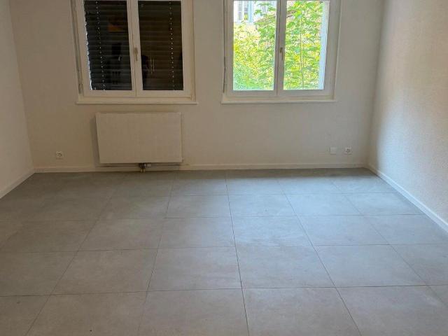 Apartment with 2 rooms for rent in Vevey 53 m² | dreamo. Ch