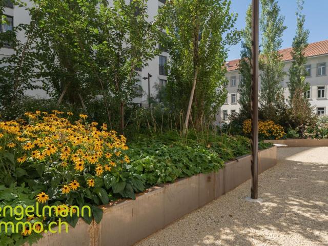 Apartment with 2.5 rooms for rent in Biel/Bienne 67 m² | dreamo. Ch