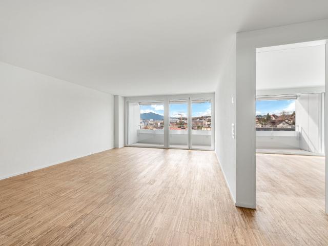 Apartment with 2.5 rooms for rent in Emmenbrücke 58 m² | dreamo. Ch
