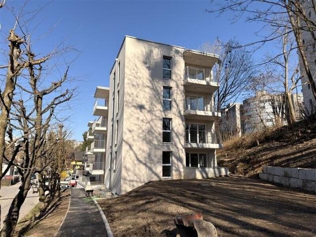 Apartment with 2.5 rooms for rent in Fribourg 42 m² | dreamo. Ch