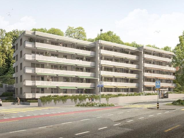 Apartment with 2.5 rooms for rent in Olten 57 m² | dreamo. Ch
