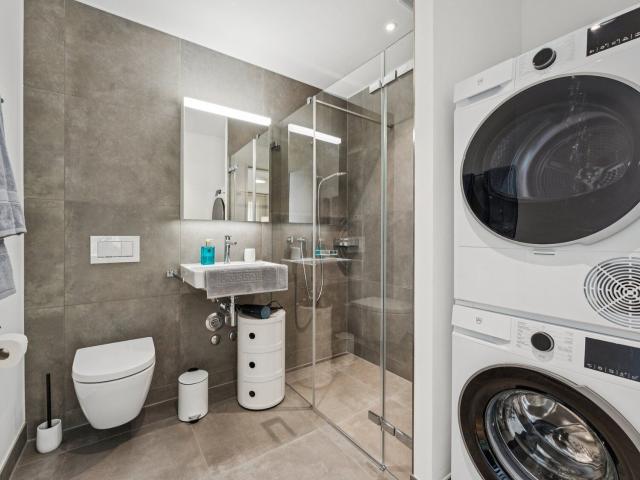 Apartment with 2.5 rooms for rent in Luzern | dreamo. Ch