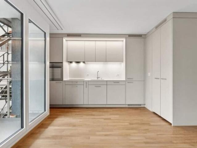Apartment with 2.5 rooms for rent in Luzern 54 m² | dreamo. Ch