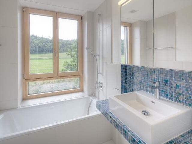 Apartment with 2.5 rooms for rent in Mellingen 59 m² | dreamo. Ch