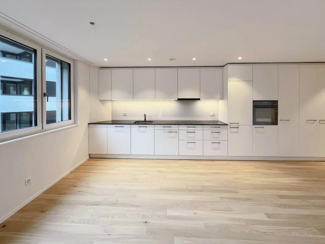 Apartment with 2.5 rooms for rent in Neuhausen 53 m² | dreamo. Ch