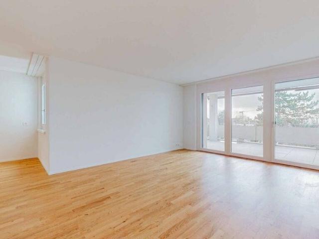Apartment with 2.5 rooms for rent in Widen 63 m² | dreamo. Ch