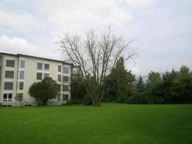Apartment with 2.5 rooms for rent in Zuchwil | dreamo. Ch