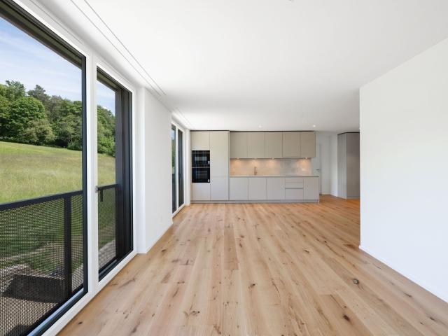 Apartment with 2.5 rooms for rent in Zürich 58 m² | dreamo. Ch